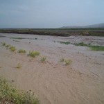 سیل در روستای قره تپه