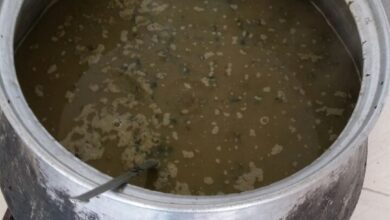 تصویری از جشن نیمه شعبان در روستای قره تپه