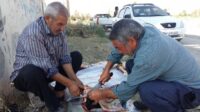 عید قربان 95 به روایت تصویر